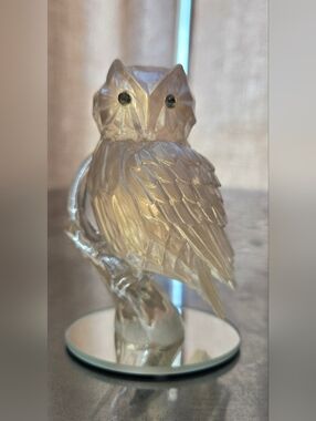 Wisdom of the Hematite American Owl Collection